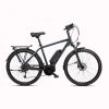 E-Bike Trekkingrad 28 Zoll Riverside Perf Line Herren 400 Wh Anthrazit/blau